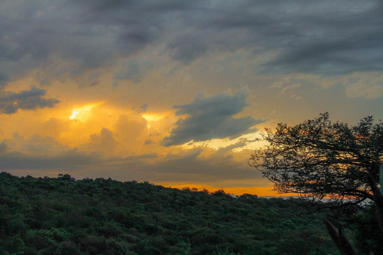 Spion Kop Lodge Вінтертон Екстер'єр фото